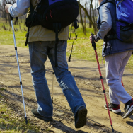 Nordic walking sticks